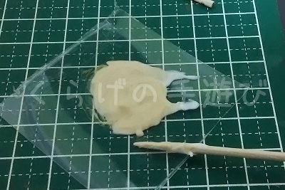 s-モデペ0119.jpg