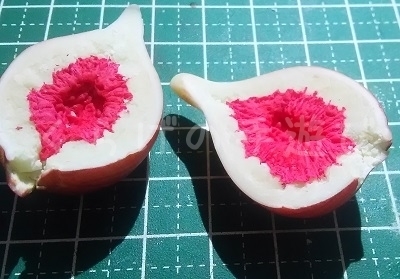 s-第三段1230.jpg
