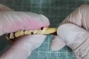 s-長チョコねじり.jpg